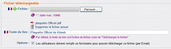 Le téléchargement par e-mail